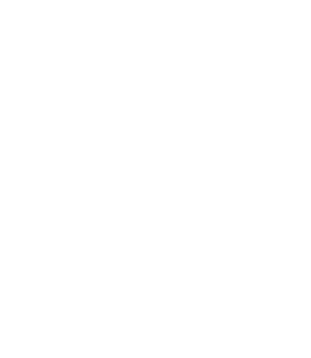 Peace Healing & Wellness logo